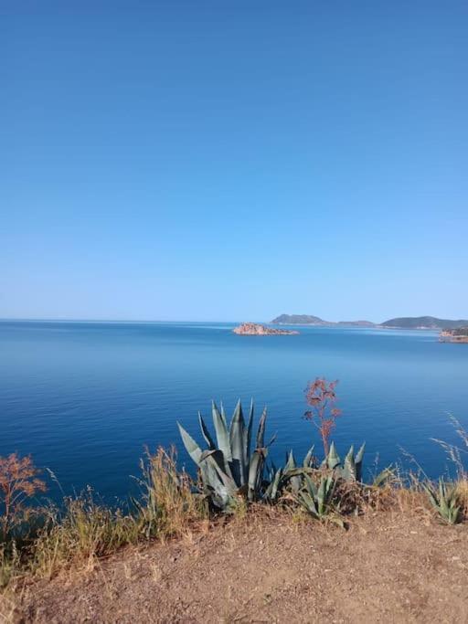 Gli Appartamenti Di Francuzzo Teulada Luaran gambar